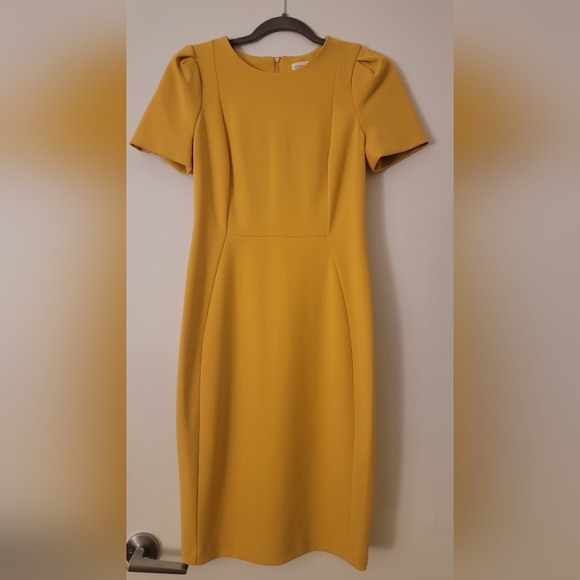 Yellow or Mango Fitted Dress - Picture 1 of 6